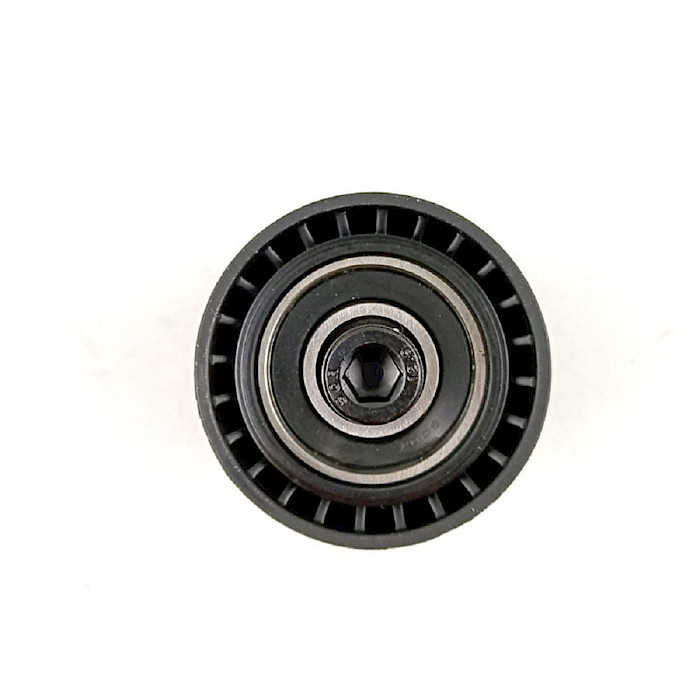 POLEA FIJA BMW N52 S7 F01