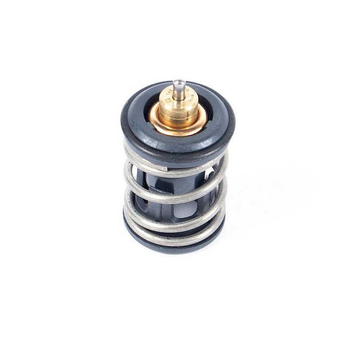 TERMOSTATO AUDI